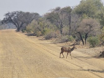 20240808_102955.jpg 20240808_102955.jpg