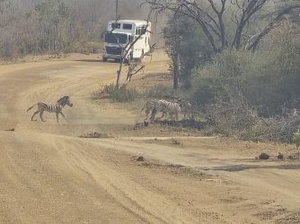 20240808_103413.jpg 20240808_103413.jpg