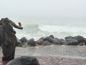 IMG_4497.jpeg IMG_4497.jpeg