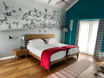 IMG_4437.jpeg IMG_4437.jpeg