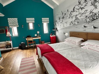 IMG_4439.jpeg IMG_4439.jpeg