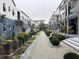 IMG_4441.jpeg IMG_4441.jpeg