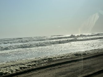 IMG_4648.jpeg IMG_4648.jpeg