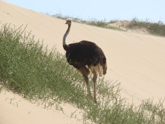 IMG_6979.jpeg IMG_6979.jpeg