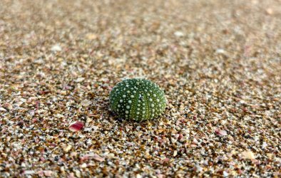 IMG_4095.jpeg IMG_4095.jpeg