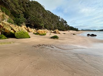 IMG_4096.jpeg IMG_4096.jpeg