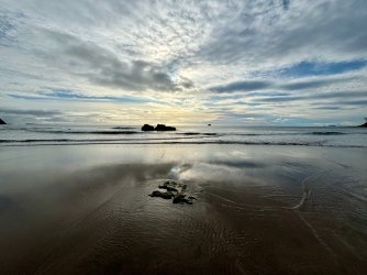 IMG_4098.jpeg IMG_4098.jpeg