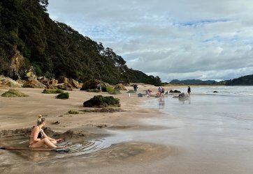 IMG_4100.jpeg IMG_4100.jpeg