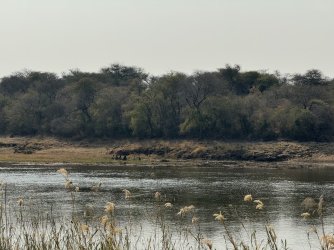 IMG_2291.JPG IMG_2291.JPG