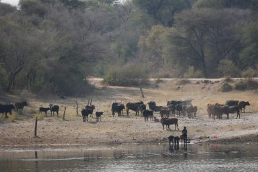 08081654.JPG 08081654.JPG