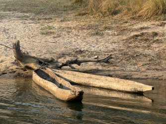 IMG_2306.JPG IMG_2306.JPG