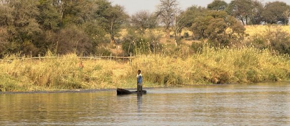 IMG_2308.JPG IMG_2308.JPG