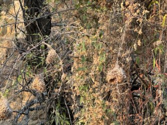 IMG_2314.JPG IMG_2314.JPG