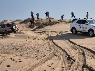 6e9d1557-65a7-45c2-a138-aee99d921bbc.jpeg 6e9d1557-65a7-45c2-a138-aee99d921bbc.jpeg