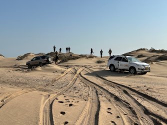 IMG_4641.jpeg IMG_4641.jpeg