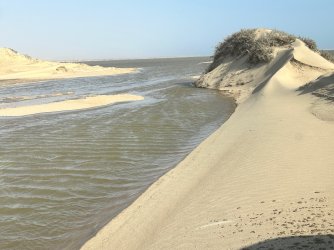 IMG_4635.jpeg IMG_4635.jpeg