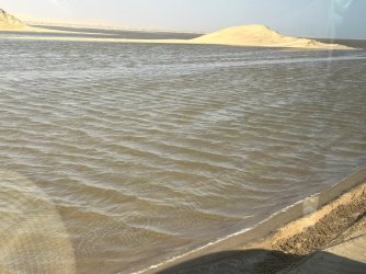 IMG_4632.jpeg IMG_4632.jpeg