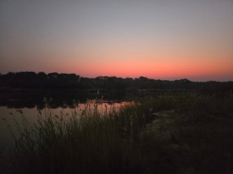 20240809_064236.jpg 20240809_064236.jpg