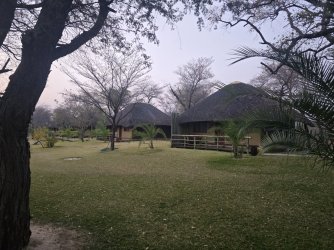 20240809_065629.jpg 20240809_065629.jpg