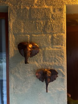 IMG_2364.JPG IMG_2364.JPG