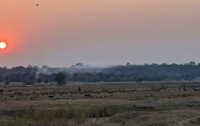 IMG_2373.JPG IMG_2373.JPG