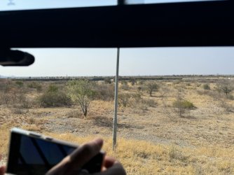 IMG_2388.JPG IMG_2388.JPG