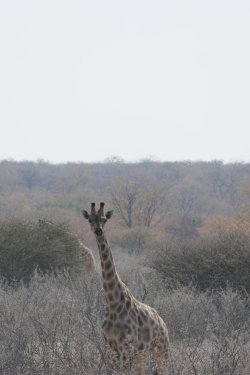 08091661.JPG 08091661.JPG