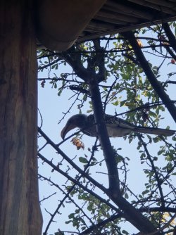 20240809_165004.jpg 20240809_165004.jpg