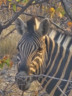 20240809_175155.jpg 20240809_175155.jpg