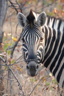 DSC09165.JPG DSC09165.JPG