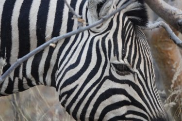 DSC09172.JPG DSC09172.JPG