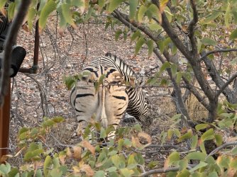 IMG_2495.JPG IMG_2495.JPG