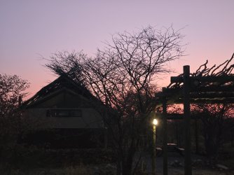 20240809_190329.jpg 20240809_190329.jpg