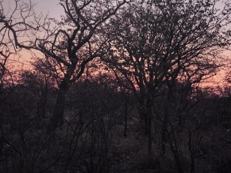 20240809_190437.jpg 20240809_190437.jpg