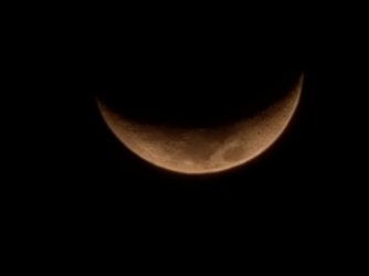 20240809_221403.jpg 20240809_221403.jpg