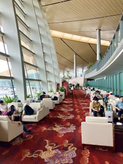 IMG_E1990.JPG IMG_E1990.JPG