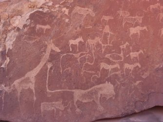 IMG_7032.jpeg IMG_7032.jpeg