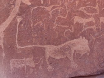 IMG_7033.jpeg IMG_7033.jpeg