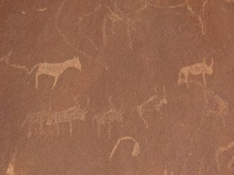 IMG_7020.jpeg IMG_7020.jpeg