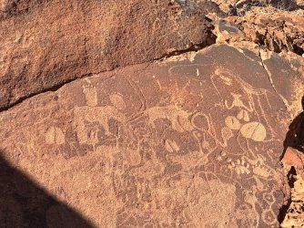 IMG_4834.jpeg IMG_4834.jpeg