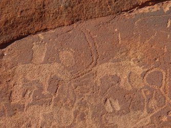 IMG_7005.jpeg IMG_7005.jpeg