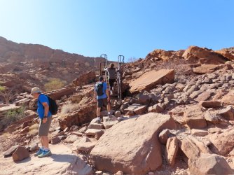 IMG_7018.jpeg IMG_7018.jpeg