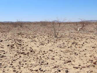 IMG_7042.jpeg IMG_7042.jpeg