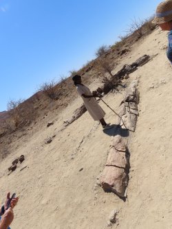 IMG_7051.jpeg IMG_7051.jpeg