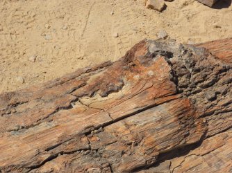 IMG_7052.jpeg IMG_7052.jpeg