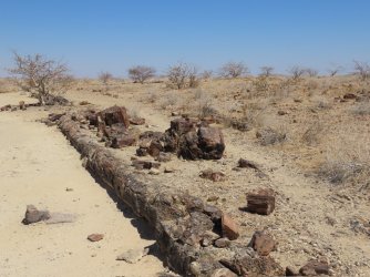 IMG_7056.jpeg IMG_7056.jpeg