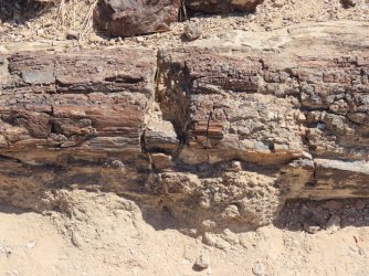 IMG_7057.jpeg IMG_7057.jpeg