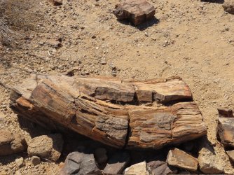 IMG_7060.jpeg IMG_7060.jpeg