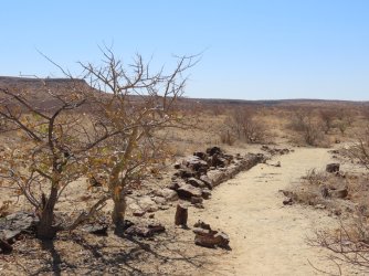 IMG_7058.jpeg IMG_7058.jpeg