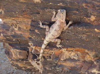 IMG_7048.jpeg IMG_7048.jpeg